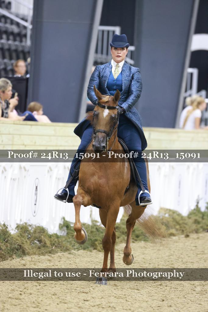 Proof 24R13_15091