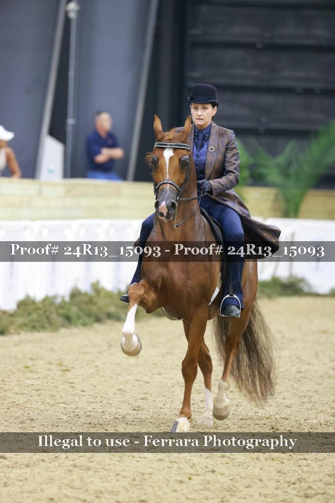 Proof 24R13_15093