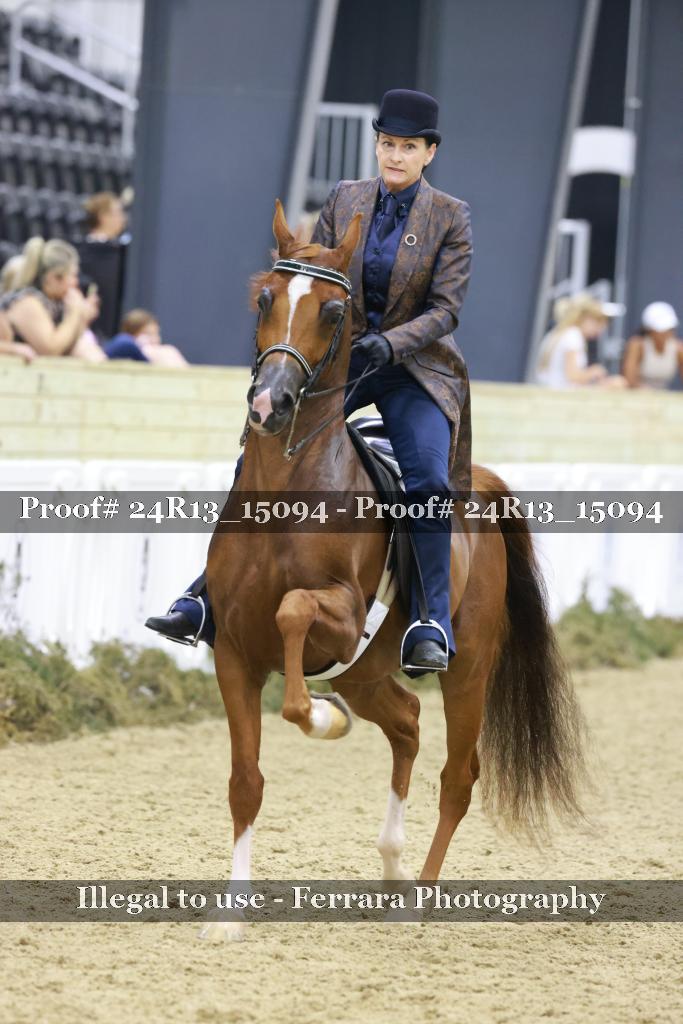 Proof 24R13_15094