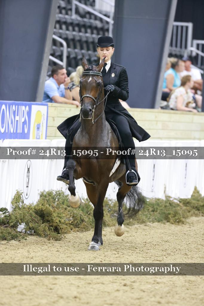 Proof 24R13_15095
