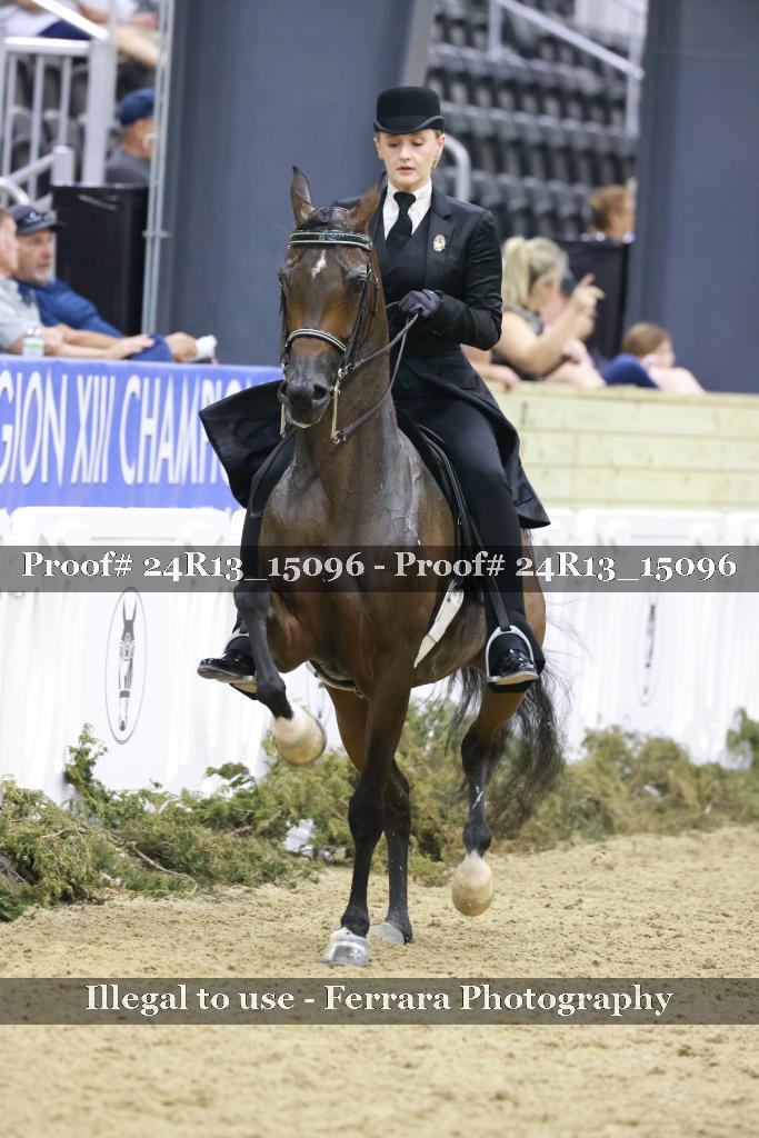 Proof 24R13_15096