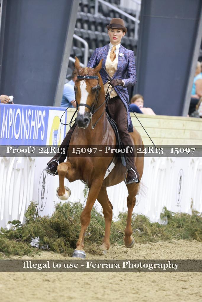 Proof 24R13_15097