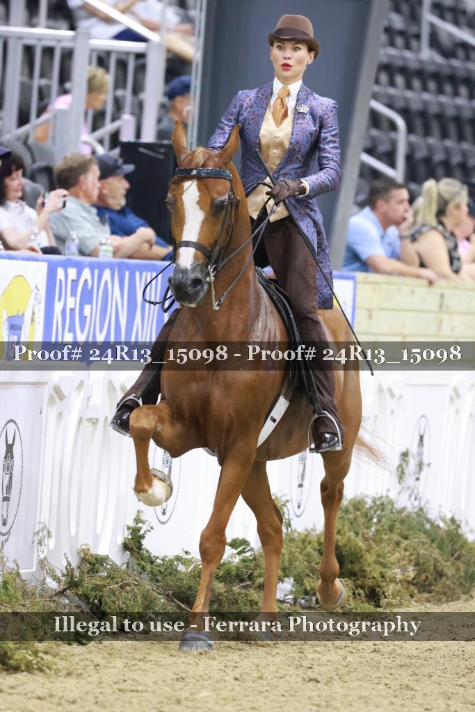 Proof 24R13_15098