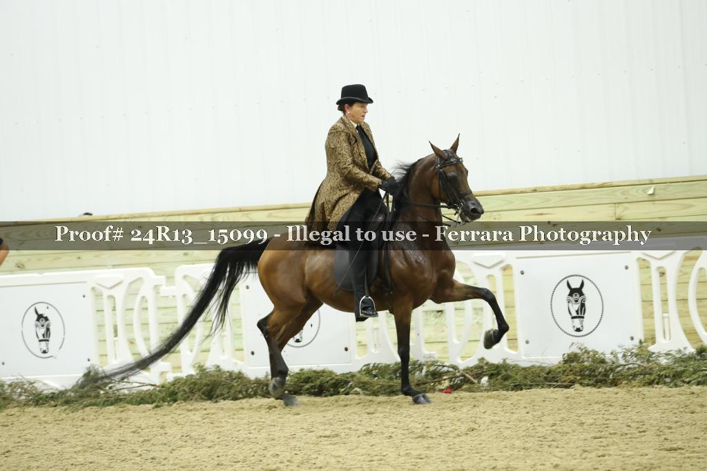 Proof 24R13_15099