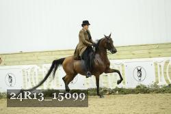 24R13_15099 proof