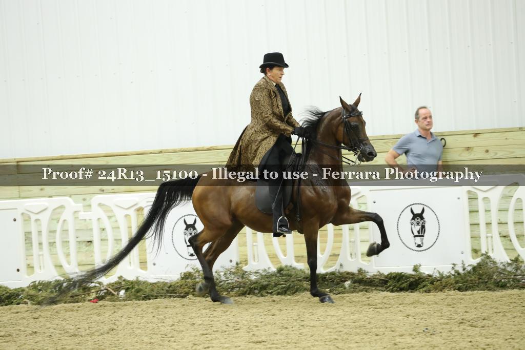 Proof 24R13_15100
