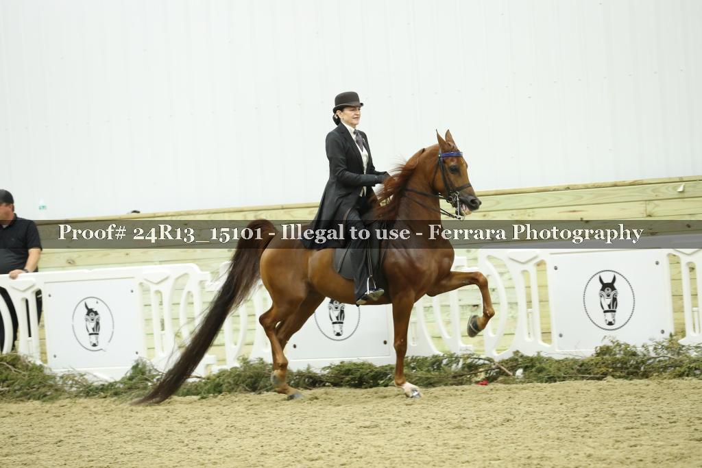 Proof 24R13_15101