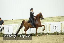 24R13_15101 proof
