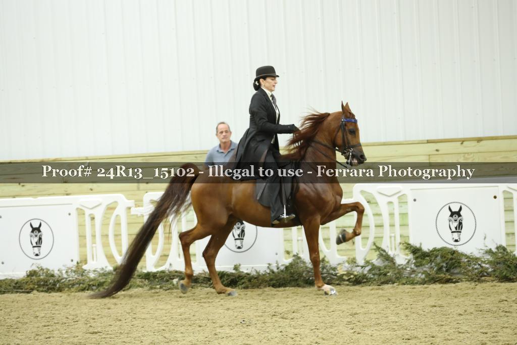 Proof 24R13_15102