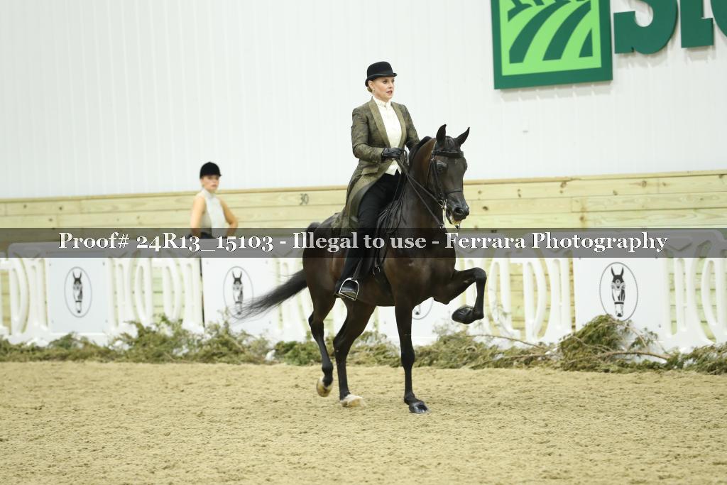 Proof 24R13_15103