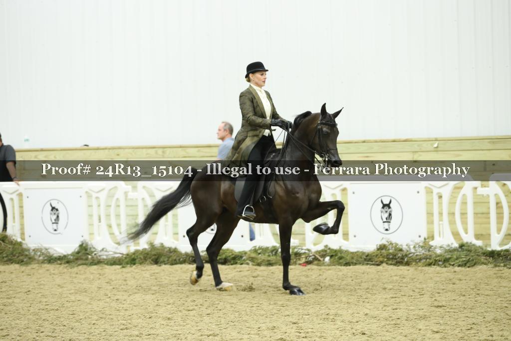 Proof 24R13_15104