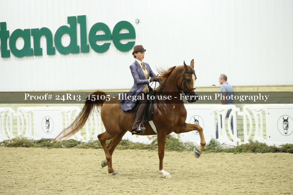 Proof 24R13_15105