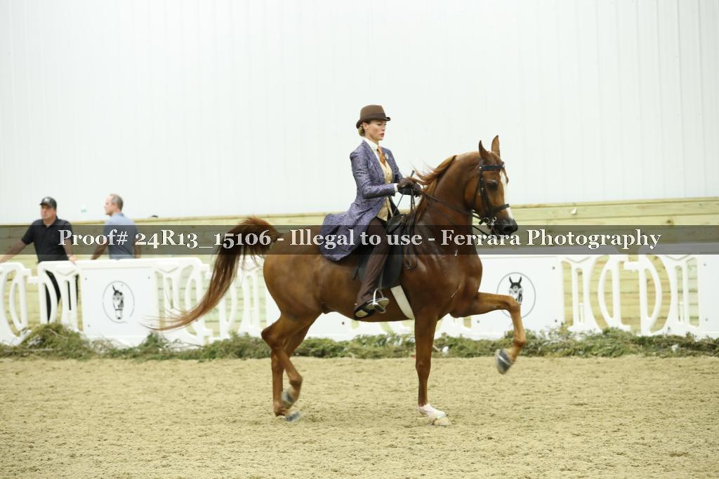Proof 24R13_15106