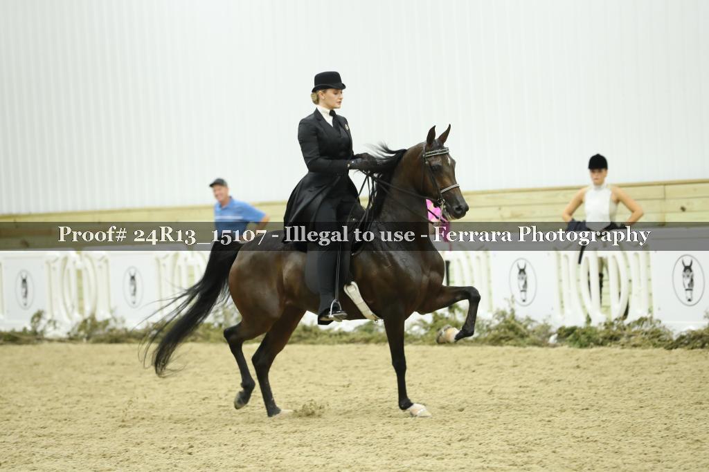 Proof 24R13_15107