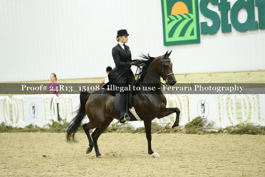 Proof 24R13_15108