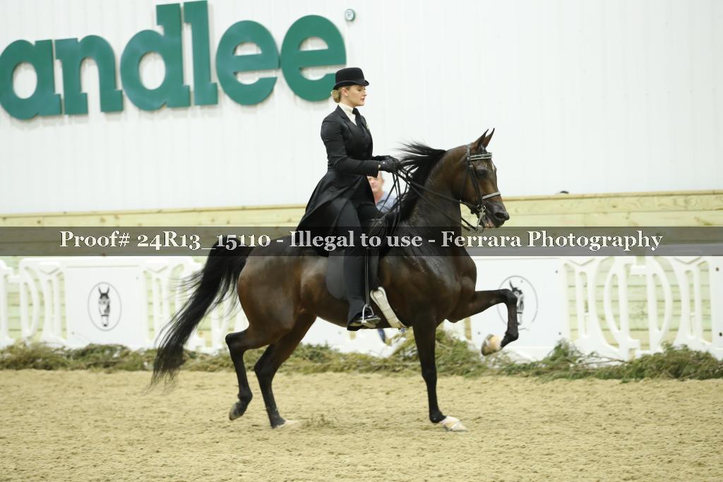 Proof 24R13_15110