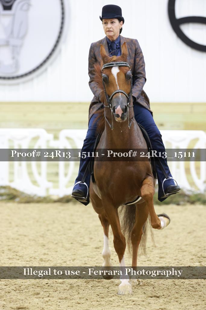 Proof 24R13_15111