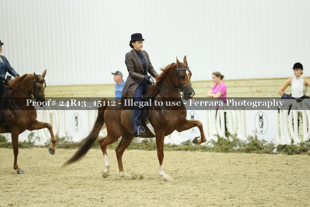 Proof 24R13_15112