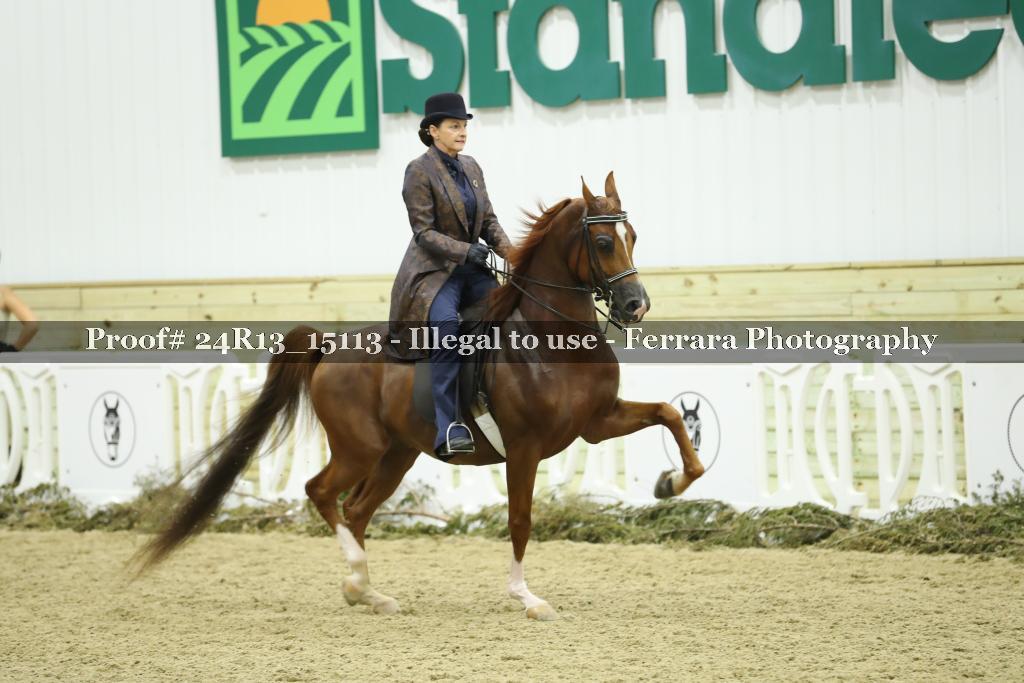 Proof 24R13_15113