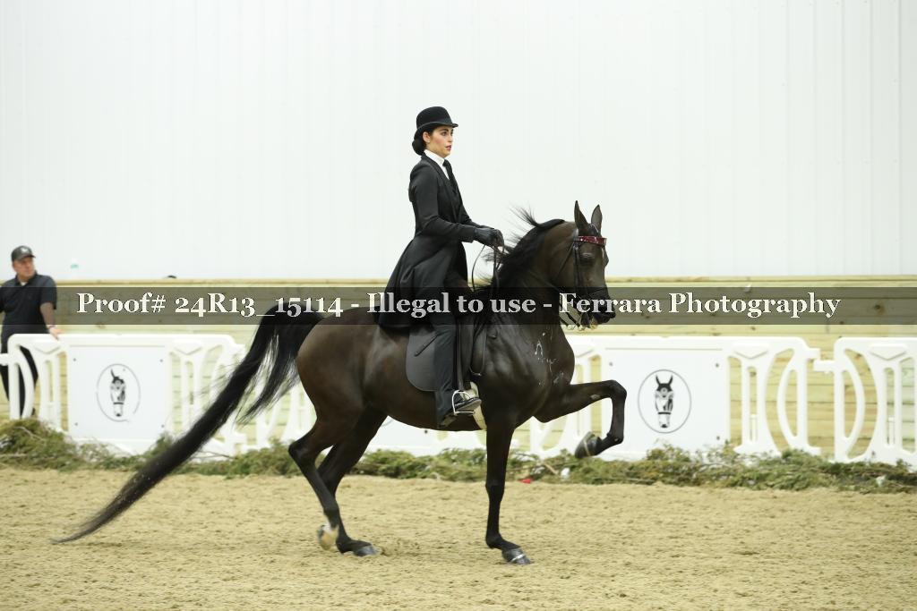 Proof 24R13_15114