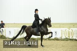 24R13_15114 proof