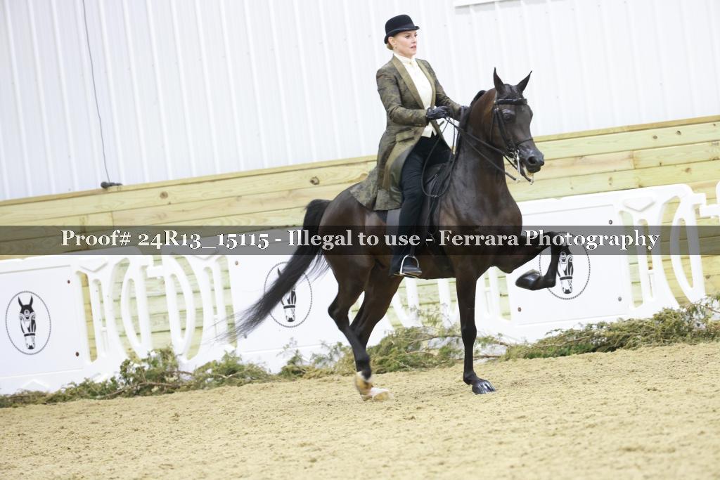 Proof 24R13_15115