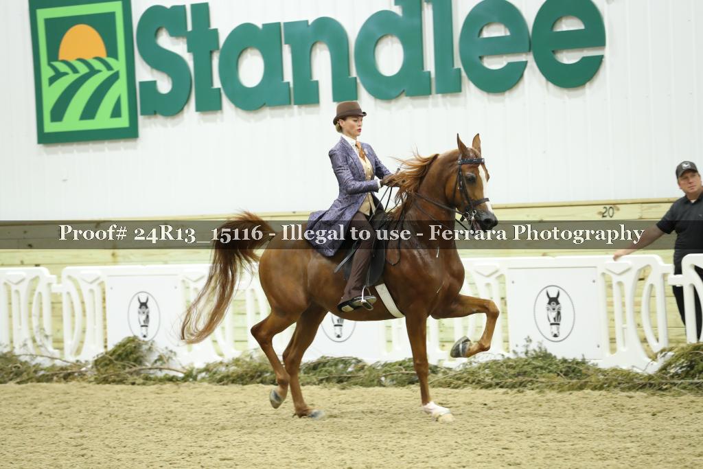 Proof 24R13_15116