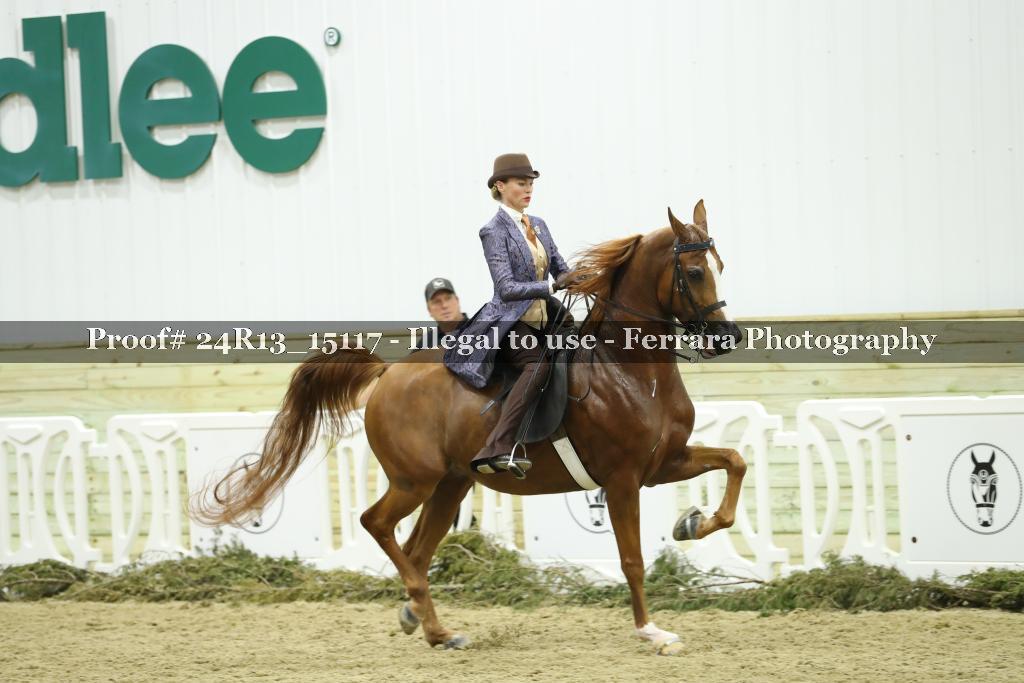 Proof 24R13_15117