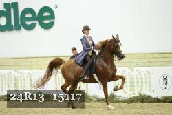 24R13_15117 proof