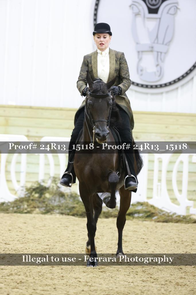 Proof 24R13_15118