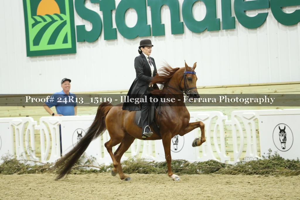 Proof 24R13_15119