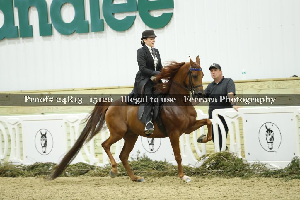 Proof 24R13_15120