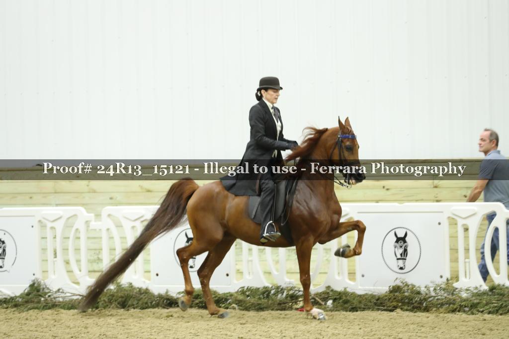Proof 24R13_15121