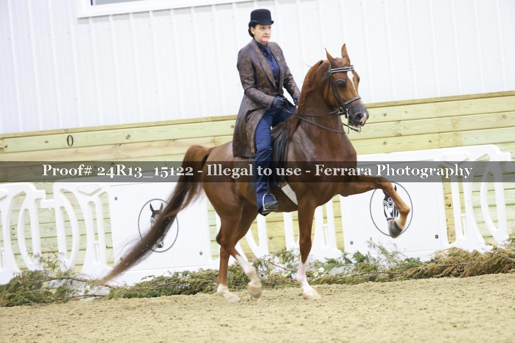 Proof 24R13_15122