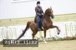 24R13_15122 proof