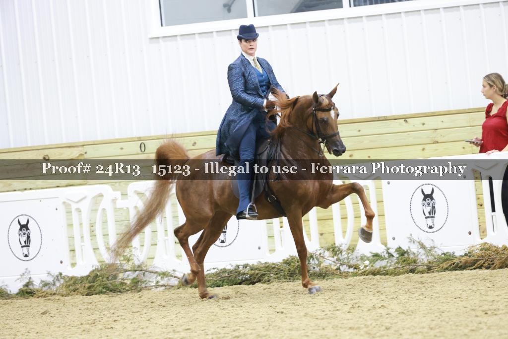 Proof 24R13_15123