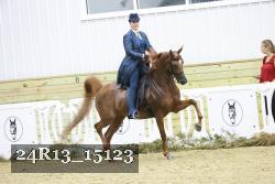 24R13_15123 proof