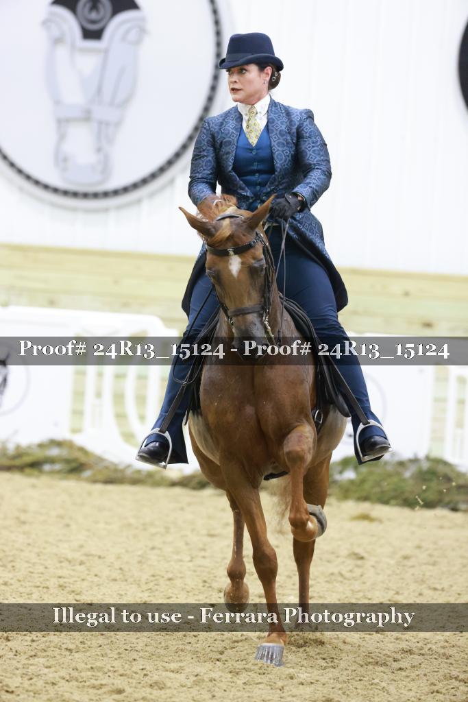 Proof 24R13_15124