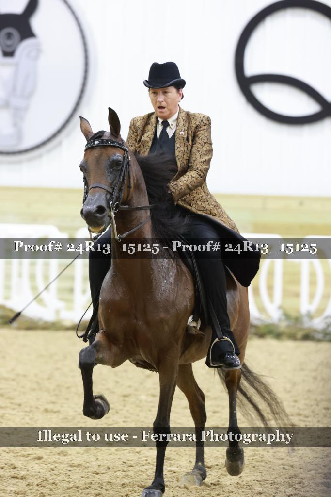 Proof 24R13_15125