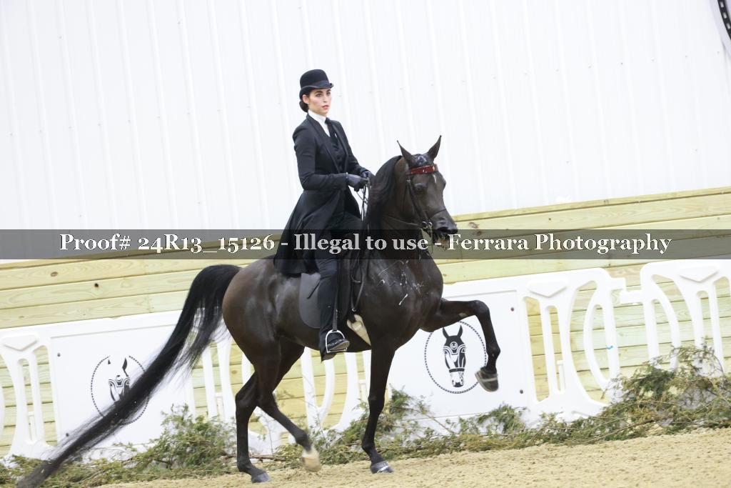 Proof 24R13_15126