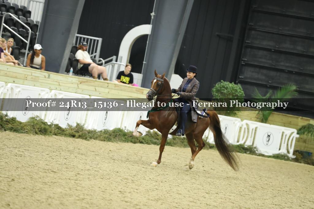 Proof 24R13_15136