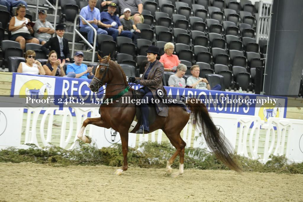 Proof 24R13_15141