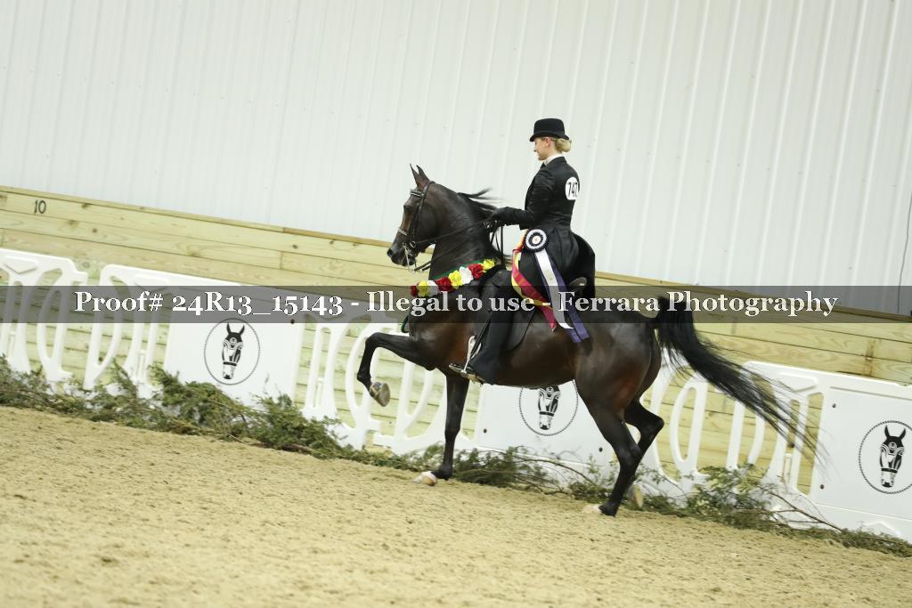 Proof 24R13_15143