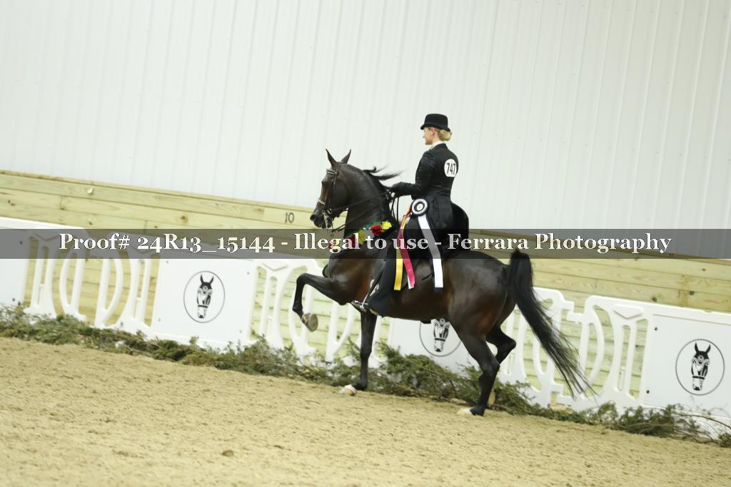 Proof 24R13_15144