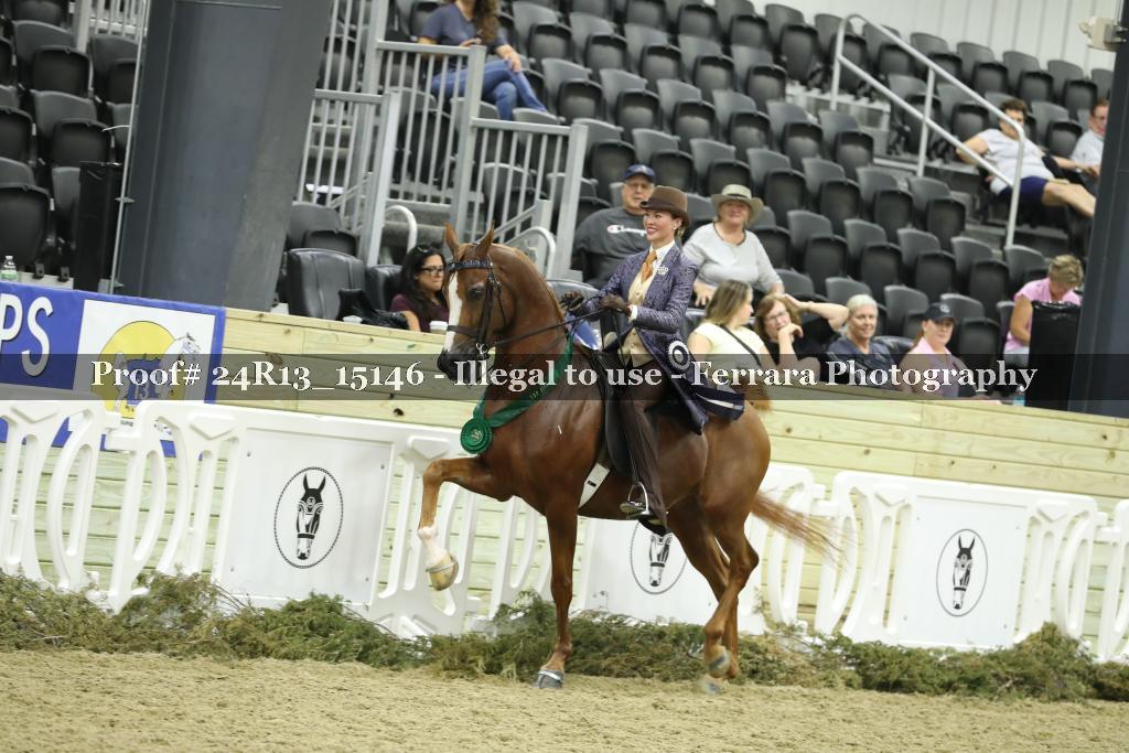 Proof 24R13_15146