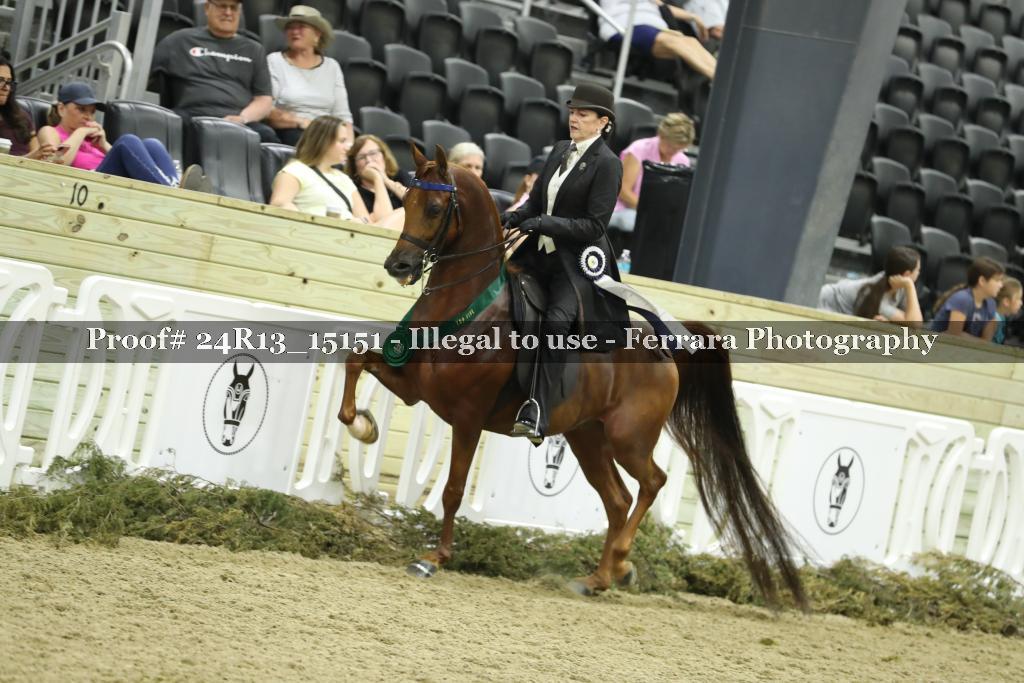 Proof 24R13_15151