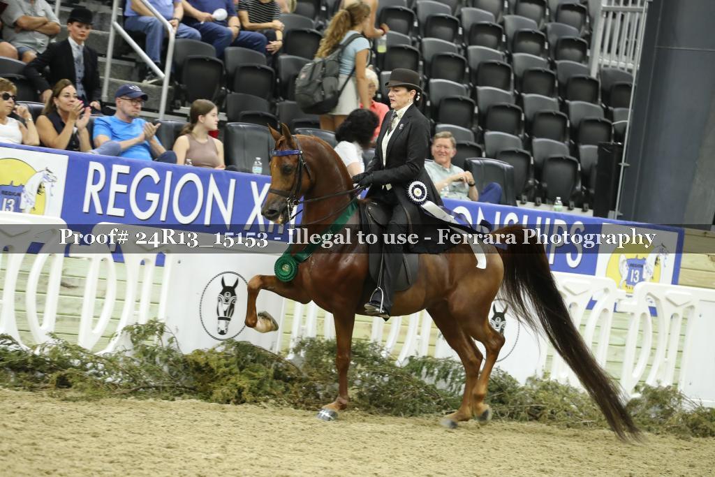 Proof 24R13_15153