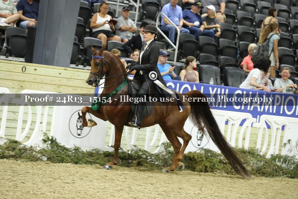 Proof 24R13_15154