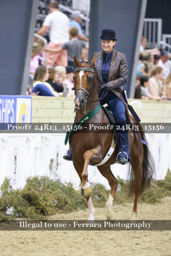 Proof 24R13_15156