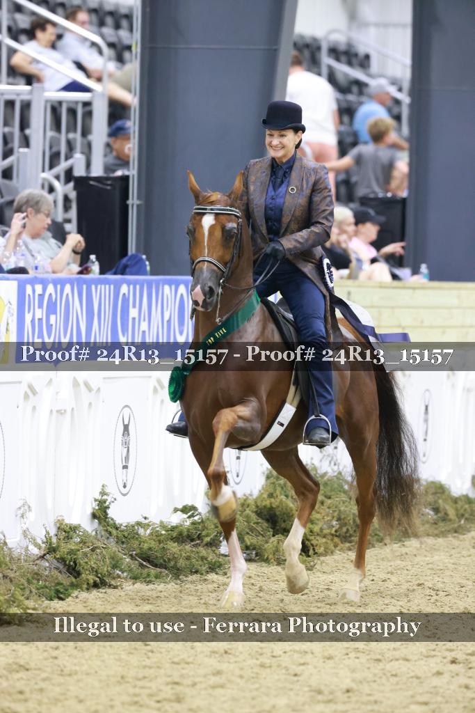 Proof 24R13_15157